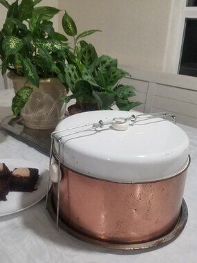 Vintage 1960s Cake Carrier